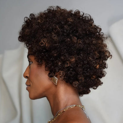 SP2/4/30 Medium Brown With Highlights Short Curly Glueless Wig