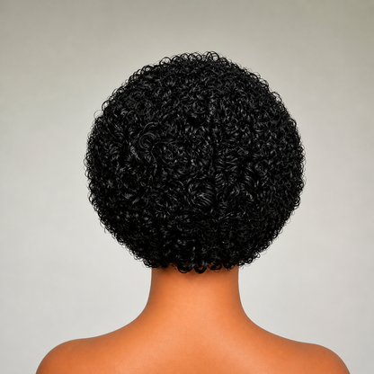 Short Natural Curl Afro Lace Front Human Hair Wig