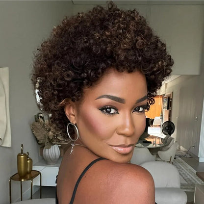 SP2/4/30 Medium Brown With Highlights Short Curly Glueless Wig